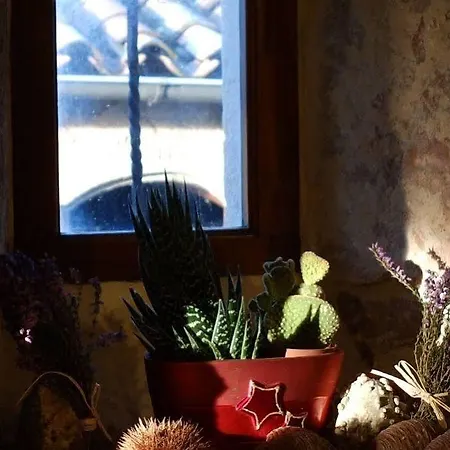 Aux Vieux Arceaux Hotel 3*