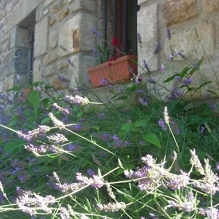 Aux Vieux Arceaux Ξενοδοχείο